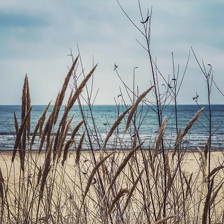 A 200 M Do Plazy Sopot