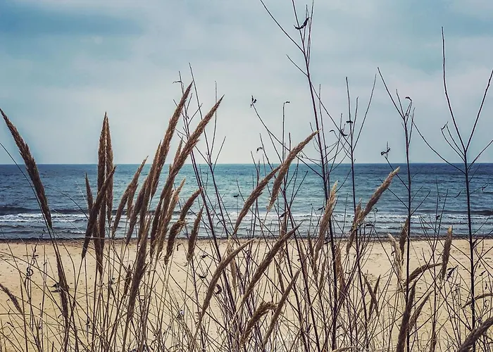 A 200 M Do Plazy ソポト